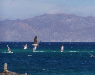  Windsurfing sport in the sea 